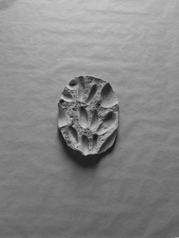 Galets de Rivareyte n°4