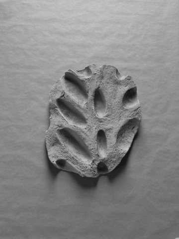 Galets de Rivareyte n°3