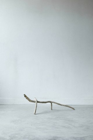 Le chêne qui pousse dans la carrière